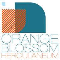 Orange Blossom